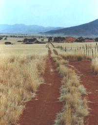 Farmpad am Rande der Namib